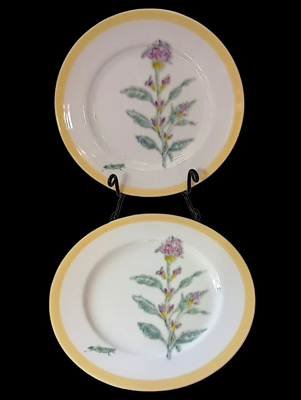 2 Williams Sonoma Flowering Herbs Salad Plates Purple Herb Flowers Grasshopper